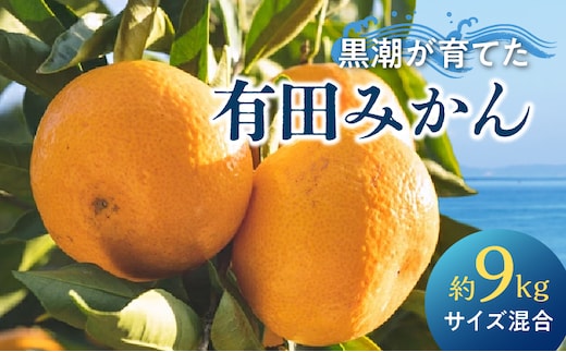 AE6110_黒潮が育てた 有田みかん 約9kg (サイズ混合)