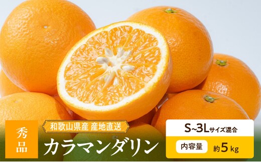 ZE6501_【2026年先行予約】和歌山県産 カラマンダリン 5kg 秀品