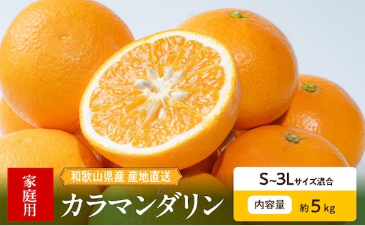 ZE6503_【2026年先行予約】和歌山県産 カラマンダリン 5kg 家庭用