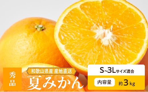 ZE6504_【2026年先行予約】和歌山県産 夏みかん 3kg 秀品