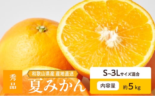 ZE6505_【2026年先行予約】和歌山県産 夏みかん 5kg 秀品