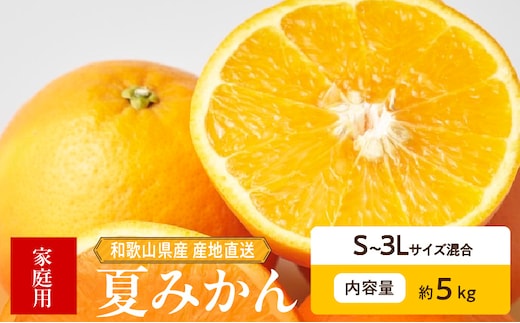 ZE6507_【2026年先行予約】和歌山県産 夏みかん 5kg 家庭用