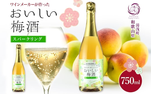 KG1015_ワインメーカーが作ったおいしい梅酒 スパークリング 紀州南高梅 使用 750ml 湯浅ワイナリー