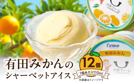 ZE6514_有田みかんシャーベットアイス 12個入り