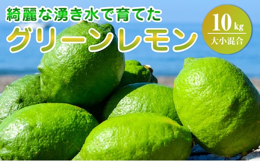 EA6114_【2026年先行予約】綺麗な湧き水で育てたグリーンレモン 10kg (大小混合)60個～120個