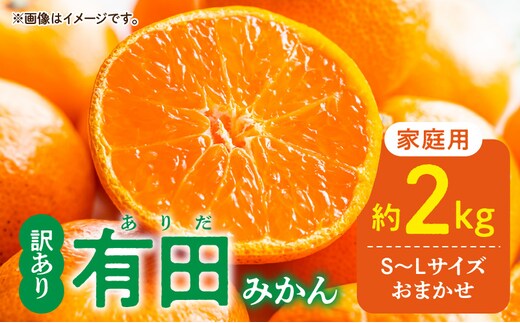 DZ6100_01_【2026年1月発送】ご家庭用 有田みかん 和歌山 S～Lサイズ 大きさお任せ 約2kg