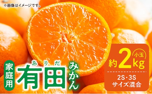 DZ6220_家庭用 有田みかん 和歌山 小玉(2S,3Sサイズ混合) 約2kg