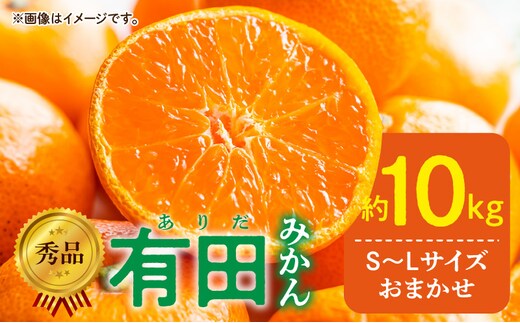 DZ6200_12_【2026年12月発送】秀品 有田みかん 和歌山県産 S～Lサイズ 大きさお任せ 約10kg