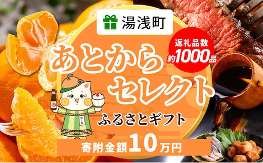 ZZ1014_あとからセレクト【ふるさとギフト】10万円