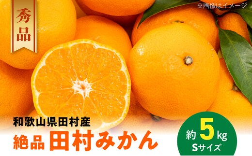 AB7431_《2025年11月～発送》【和歌山特産品】【プレミアムブランド】絶品 田村みかん 秀品 Sサイズ 約5kg