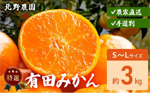 DZ6233_特選 有田みかん 和歌山 S～Lサイズ 大きさお任せ 約3kg