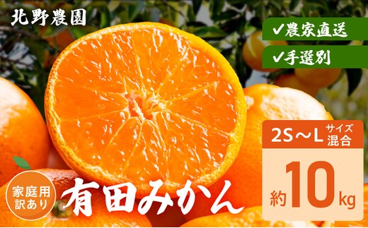 DZ6235_家庭用 訳あり 有田みかん 和歌山 2S～Lサイズ混合 約10kg