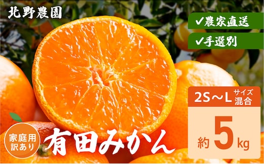 DZ6236_家庭用 訳あり 有田みかん 和歌山 2S～Lサイズ混合 約5kg