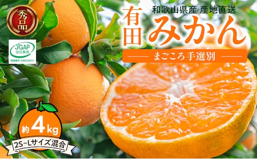 ZE6344n_【2026年先行予約】【秀品】和歌山県産 有田みかん 約4kg (2S～Lサイズ混合)【まごころ手選別】
