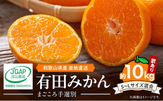 ZE6424_【2026年先行予約】【家庭用】 和歌山県産 有田みかん 約10kg (S～Lサイズ混合)【まごころ手選別】