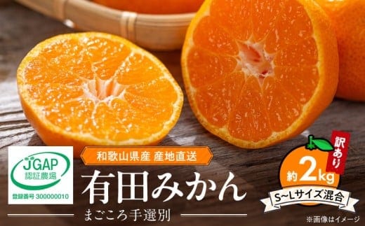 ZE6517_【2026年先行予約】【家庭用】和歌山県産 有田みかん 約2kg (S～Lサイズ混合)【まごころ手選別】