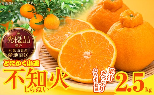 MK1018_不知火 (しらぬい) とにかく小玉 箱込 2.5kg (内容量約2.3kg) 秀品 優品 混合