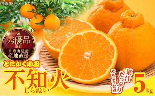 MK1017_不知火 (しらぬい) とにかく小玉 箱込 5kg (内容量約4.4kg) 秀品 優品 混合