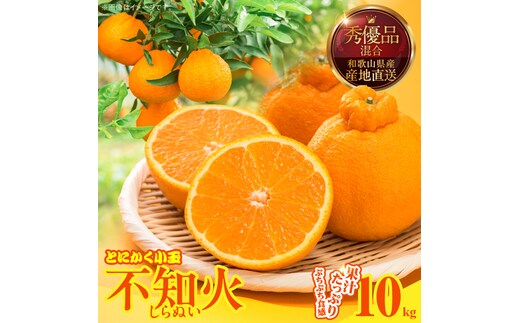MK1015_不知火 (しらぬい) とにかく小玉 箱込 10kg (内容量約9.2kg) 秀品 優品 混合