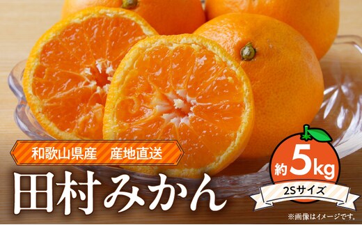 ZE6486_【2026年先行予約】和歌山 湯浅町産 田村みかん 約5kg【2Sサイズ】