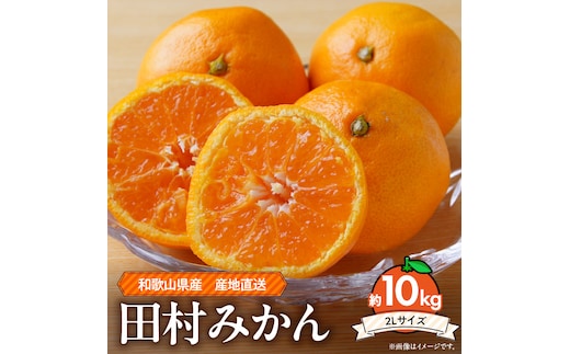 ZE6487_【2026年先行予約】和歌山 湯浅町産 田村みかん 約10kg【2L】