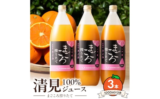 ZE6522_【まごころ搾りたて】清見100%ジュース 1000ml×3本