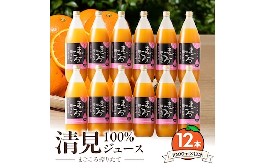 ZE6523_【まごころ搾りたて】清見100%ジュース 1000ml×12本