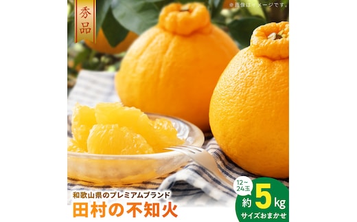AB7433_【2027年先行予約】和歌山有田 田村の不知火(田村デコ) 秀品 12～24玉