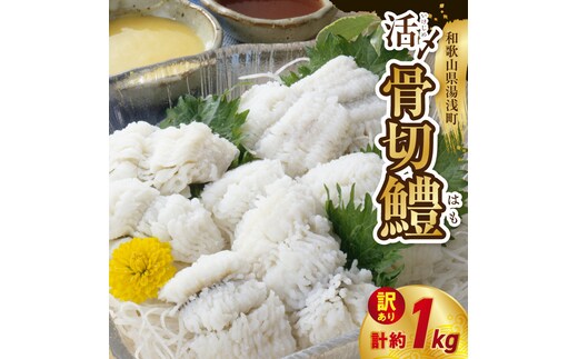 【訳アリ・業務用】活〆 加熱用 国産 骨切鱧 約1kg （200g〜300g程の大きさの鱧を3〜5匹）_SD1009