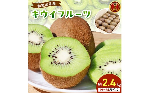 【2027年1月下旬から順次発送】和歌山産 キウイフルーツ M～4Lサイズ 約2.4kg 秀品 _BL6176