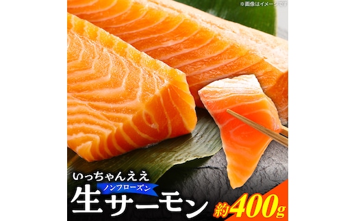 いっちゃんええ【ノンフローズン】生サーモン 全て手作業 約400g_FJ1000