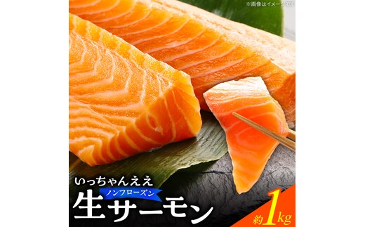 いっちゃんええ【ノンフローズン】生サーモン 全て手作業 約1kg_FJ1001
