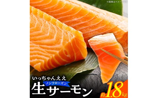 いっちゃんええ【ノンフローズン】生サーモン 全て手作業 半身 約1.8kg_FJ1002