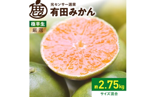 《2026年9月下旬～11月中旬頃に順次発送》【2026年先行予約】厳選 極早生有田みかん約2.5kg+250g（傷み補償分）ゆら早生みかん【YN26・ゆら早生】【光センサー選果】_ZH7039