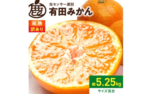 《2026年11月上旬～2027年1月下旬頃に順次発送》【2026年先行予約】家庭用 完熟有田みかん約5kg+250g（傷み補償分）【わけあり・訳あり】【光センサー選果】_ZH7128
