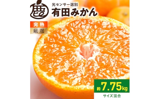 《2026年11月上旬～2027年1月下旬頃に順次発送》【2026年先行予約】厳選 完熟有田みかん約7.5kg+250g（傷み補償分）【光センサー選果】_ZH7060