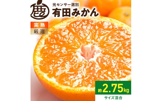 《2026年11月上旬～2027年1月下旬頃に順次発送》【2026年先行予約】厳選 完熟有田みかん約2.5kg+250g（傷み補償分）【光センサー選果】_ZH7122
