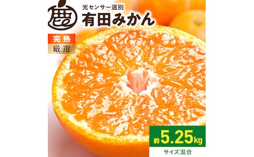 《2026年11月上旬～2027年1月下旬頃に順次発送》【2026年先行予約】厳選 完熟有田みかん約5kg+250g（傷み補償分）【光センサー選果】_ZH7124