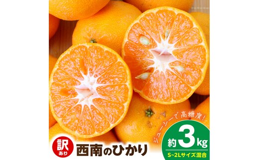 【2026年先行予約】《訳あり 家庭用》西南のひかり 約3kg（S～2Lサイズ混合）_EQ6007