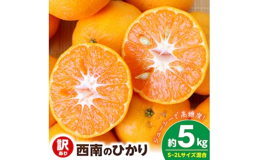 【2026年先行予約】《訳あり 家庭用》西南のひかり 約5kg（S～2Lサイズ混合）_EQ6008