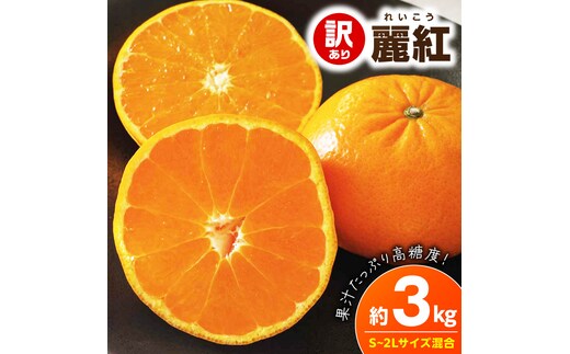 【2027年先行予約】《訳あり 家庭用》麗紅 約3kg（S～2Lサイズ混合）_EQ6003