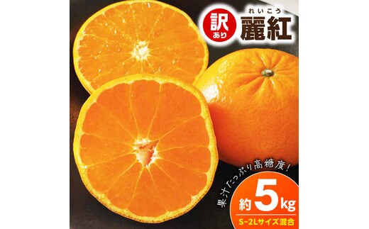 【2027年先行予約】《訳あり 家庭用》麗紅 約5kg（S～2Lサイズ混合）_EQ6004