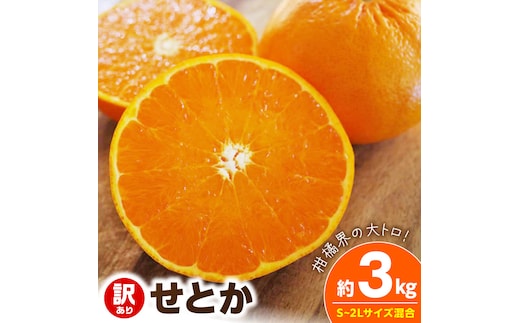 【2027年先行予約】《訳あり 家庭用》せとか 約3kg（S～2Lサイズ混合）_EQ6001