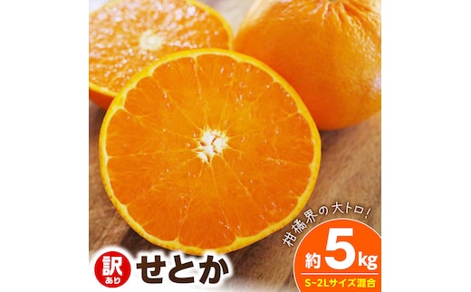 【2027年先行予約】《訳あり 家庭用》せとか 約5kg（S～2Lサイズ混合）_EQ6002