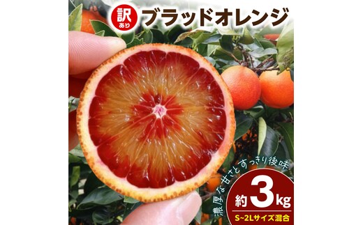 【2027年先行予約】《訳あり 家庭用》ブラッドオレンジ 約3kg（S～2Lサイズ混合）_EQ6011