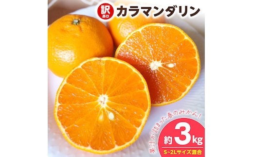 【2027年先行予約】《訳あり 家庭用》カラマンダリン 約3kg（S～2Lサイズ混合）_EQ6005