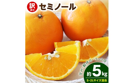 【2027年先行予約】《訳あり 家庭用》セミノール 約5kg（S～2Lサイズ混合）_EQ6010
