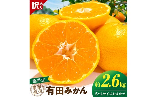 《2026年11月上旬～11月中旬頃までに順次発送予定》【2026年先行予約】【数量限定】有田みかん 極早生 約2.6kg 訳あり_TR1001
