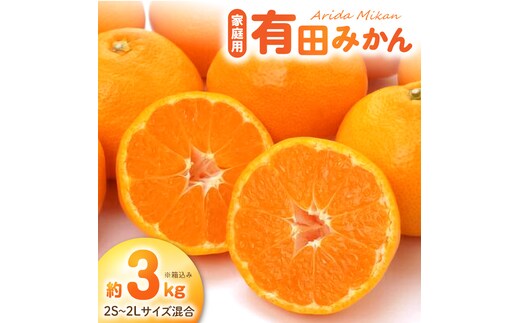 《2026年11月中旬～2027年1月中旬頃に順次発送予定》【2026年先行予約】ご家庭用有田みかん箱込み約3kg_AN6117