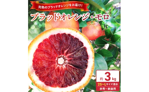 《2027年3月上旬～3月下旬頃に順次発送予定》【2027年先行予約】庄助農園のブラッドオレンジ・モロ約3kg(サイズ混合・厳選採果)_BK6021